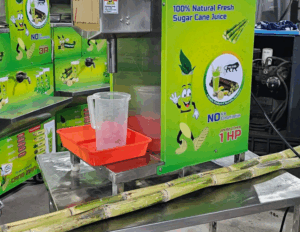 Chọn đúng loại mía phù hợp với máy